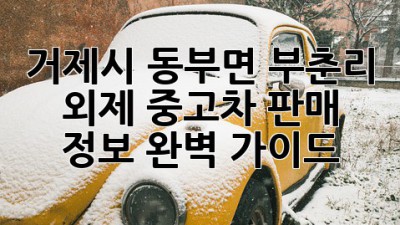 거제시 동부면 부춘리 외제 중고차 판매 정보 완벽 가이드